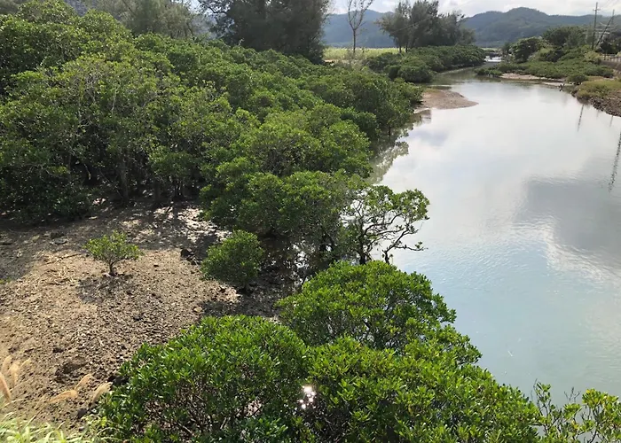 Amami North Mangrove Inn - Vacation Stay 90032V
